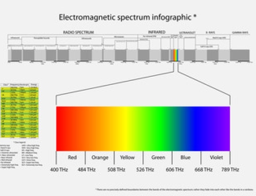 Differences Between the BioMat and Red Light Therapy